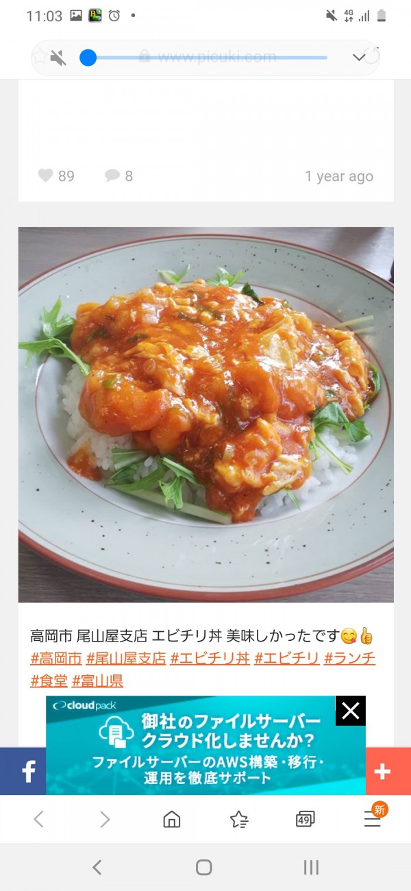 エビチリ丼