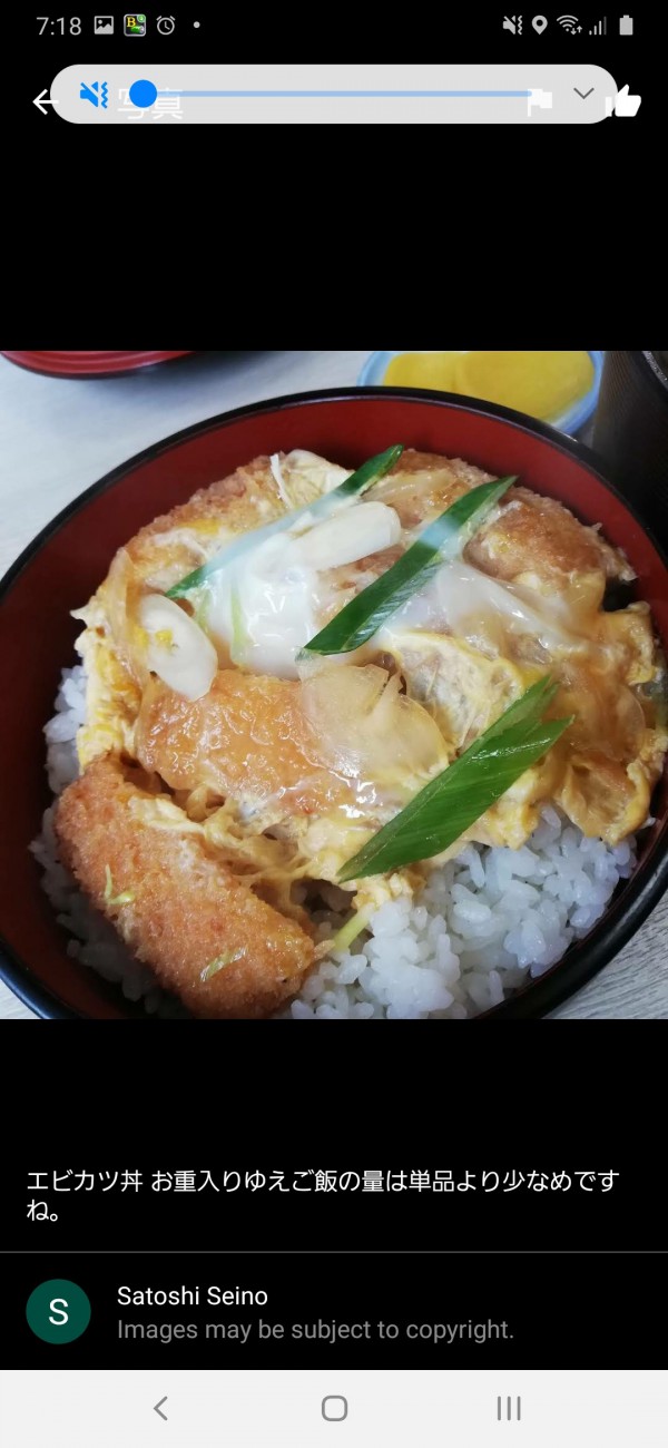 エビかつ丼