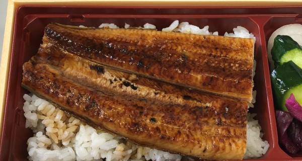 厳選　国産ウナギのうな重